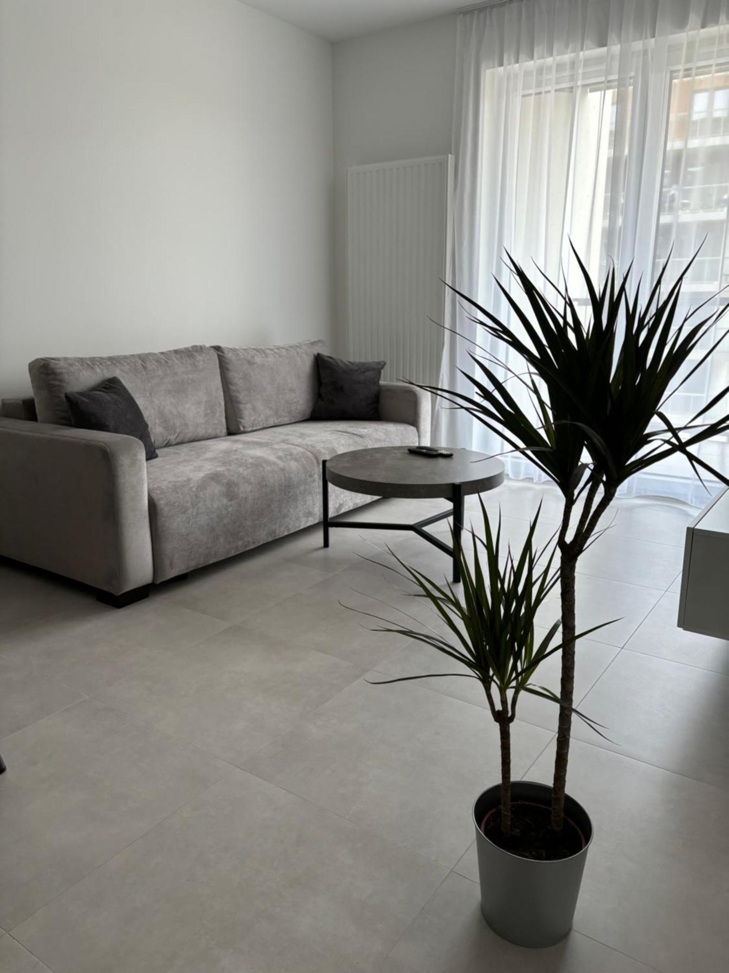 Kima Apartamenty Atal Szybowcowa 33 カトヴィツェ エクステリア 写真